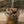 Load image into Gallery viewer, Smoked Mussels
